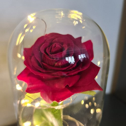 Rdeča vrtnica v stekleni kupoli z LED lučkami